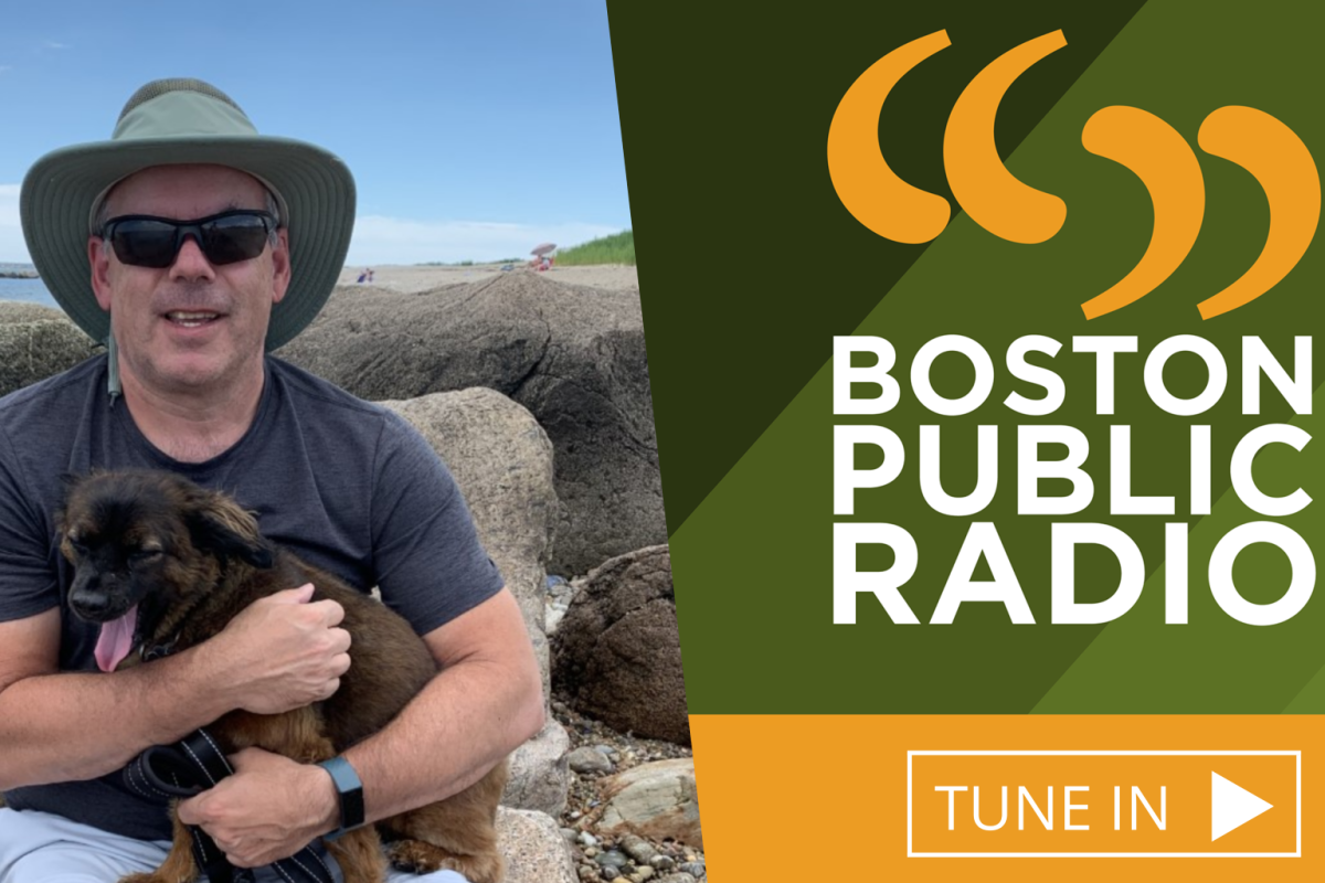 Hear Us Discuss Energy Rebates On Boston Public Radio Green Energy 